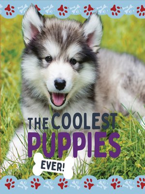 cover image of The Coolest Puppies